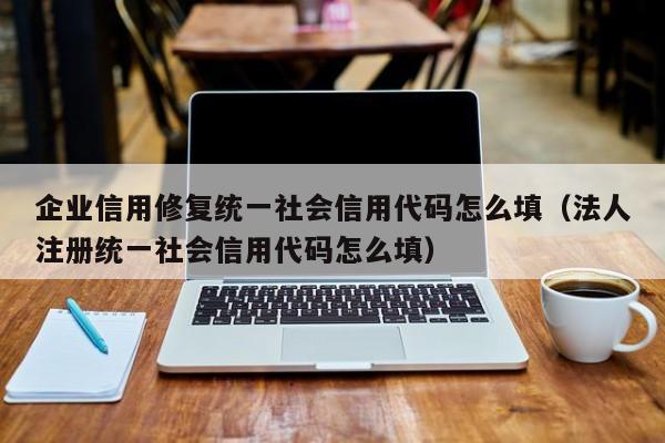 企业信用修复统一社会信用代码怎么填（法人注册统一社会信用代码怎么填）