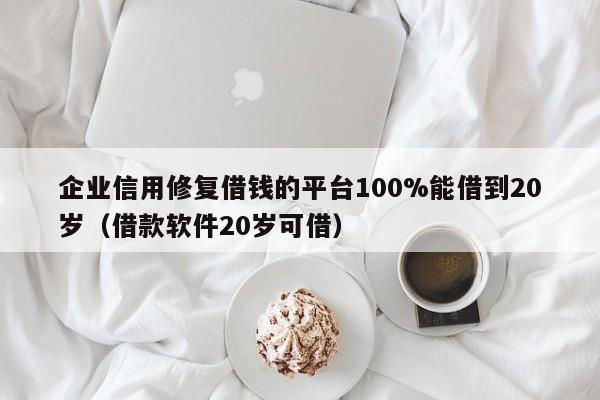 企业信用修复借钱的平台100%能借到20岁（借款软件20岁可借）