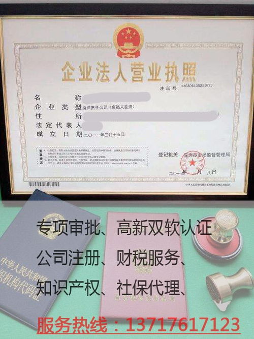 要注册一个公司该怎么注册的简单介绍