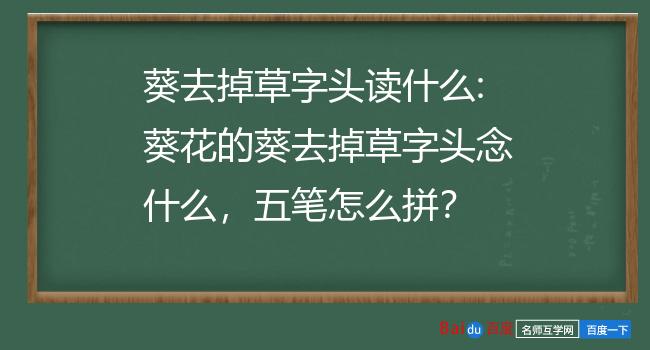 有什么办法去掉小蓝本刑事诉讼的简单介绍