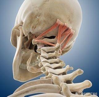 如何根源性的删除云筑网法律诉讼的简单介绍
