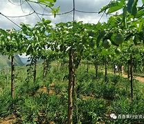 企业信用修复有什么办法下架百融金服欠税公告(有什么办法下架百融金服欠税公告呢)