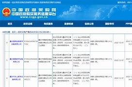 关于如何去除中国政府采购网工程质量处罚的信息