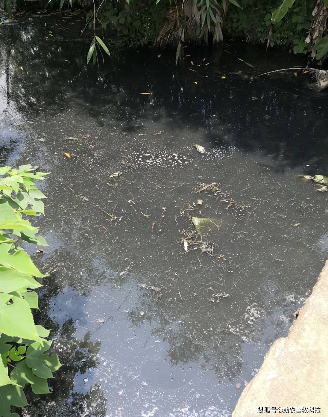 企业信用修复怎样快捷的去除平台上的环保处罚(怎样快捷的去除平台上的环保处罚呢)