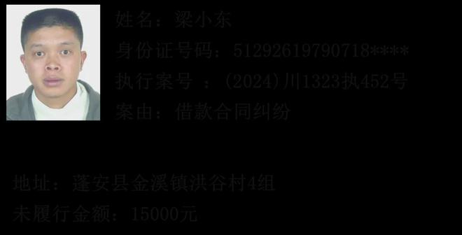 企业信用修复如何彻底的屏蔽公司的失信被执行人(如何彻底的屏蔽公司的失信被执行人信息)