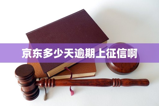 包含如何高效的抹除京东蓝鲸征信终本案件的词条